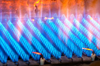 Dalelia gas fired boilers